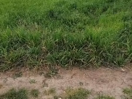 vente terrain à pontivy (56300) : à vendre / pontivy