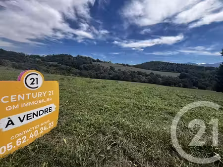 terrain à vendre - 2650 m2 - benque molere - 65 - midi-pyrenees