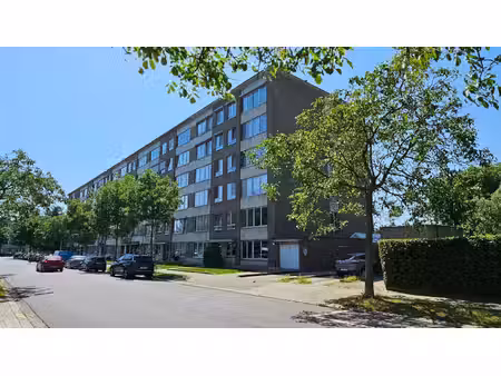 volledig vernieuwd 2 slaapkamer-appartement te huur