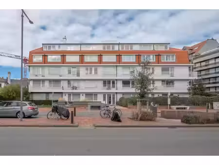vastgoed knokke