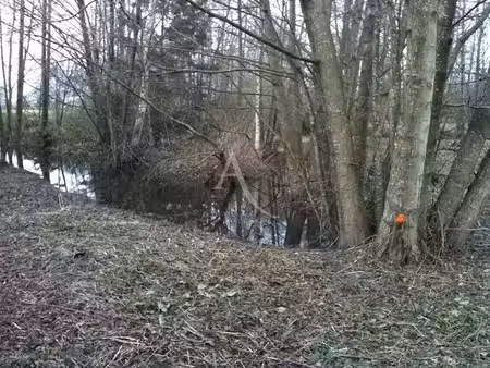 vente terrain 4987 m² à gournay-en-bray (76220)  18 000 €