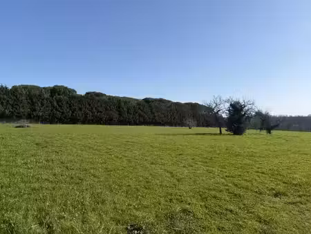 vente terrain 980 m² à bazas (33430)  30 000 €