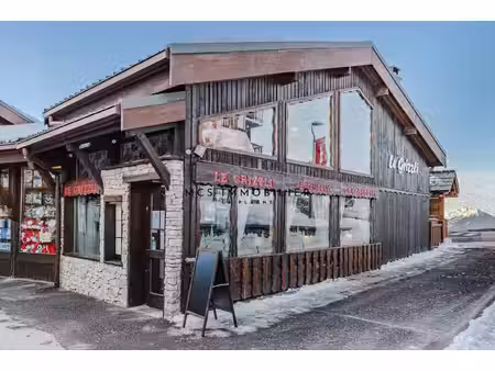 fond de commerce - plagne villages