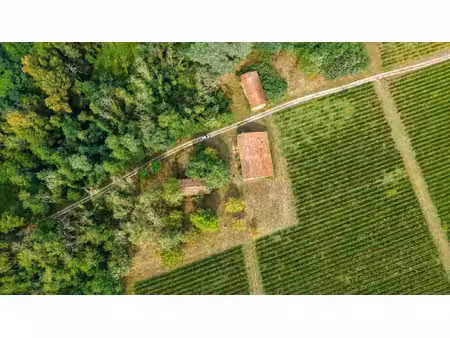 maison pierre avec chai et terrain langon