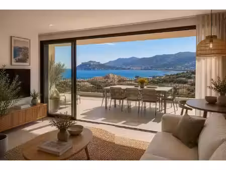 vente appartement 1 pièce 50 m² calvi (20260)