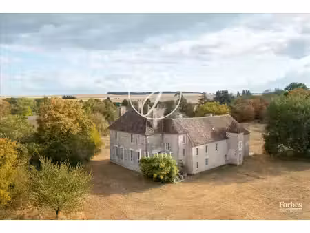 gravon- seine et marne- château- propriété équestre - 21 hectares