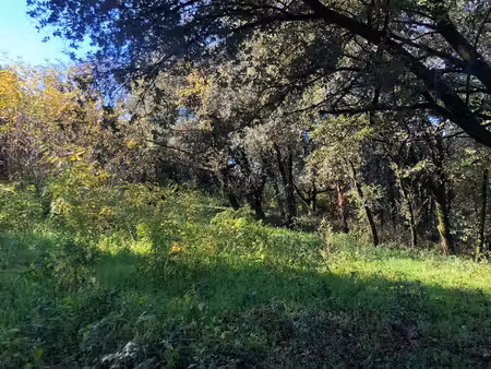 terrain constructible de 2723 m2