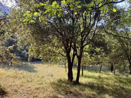 terrain loisirs à saint-laurent-le-minier (30440)