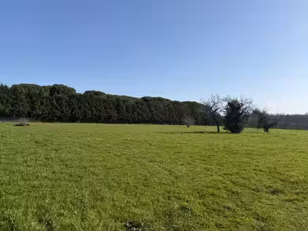 vente terrain 980 m² bazas (33430)