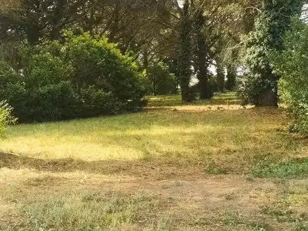 vente terrain 1030 m² saint-maixant (33490)