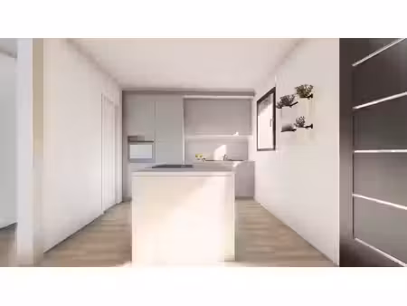 vente maison neuve 4 pièces 91 m² à landudec (29710)  218 470 €