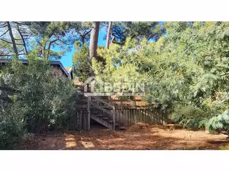 maison de luxe à vendre à cap ferret