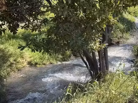 vente terrain 3100 m² à maussane-les-alpilles (13520)  640 000 €