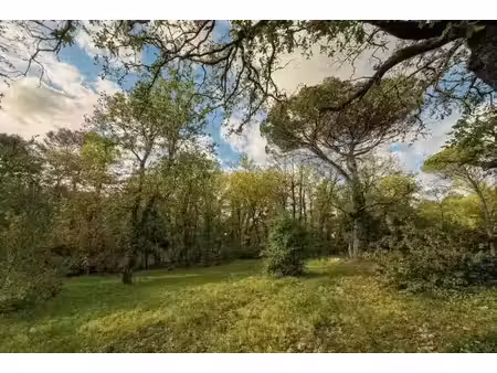 vente terrain 1266 m² à opio (06650)  595 000 €