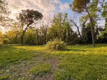 vente terrain 1316 m² à opio (06650)  745 000 €