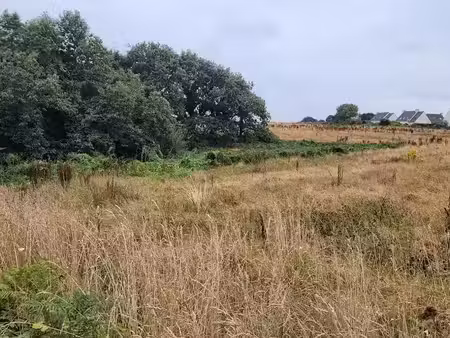 vente terrain 461 m² à lannilis (29870)  75 000 €