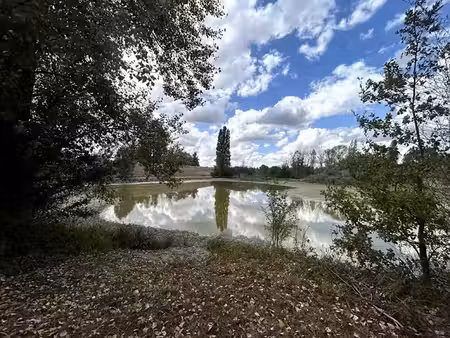 vente terrain 75421 m² à jouet-sur-l'aubois (18320)  98 000 €