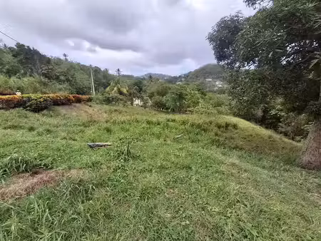 vente terrain à batir 2186 m² à riviere pilote (97211)  130 000 €
