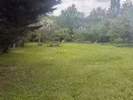 vente terrain 1200 m² à auzielle (31650)  191 000 €