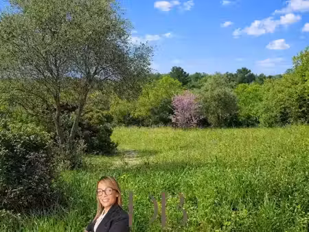 vente terrain 1462 m² à murviel-lès-montpellier (34570)  239 000 €