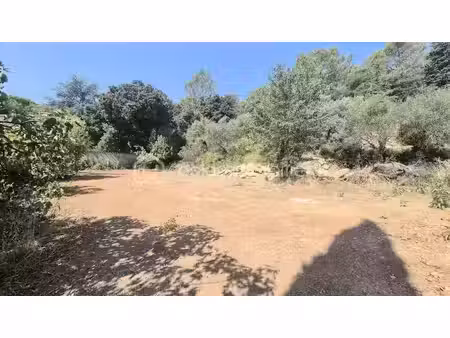 vente terrain 1005 m² à pignans (83790)  378 000 €