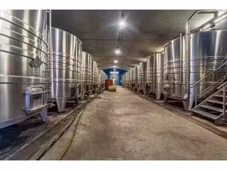 vente local commercial