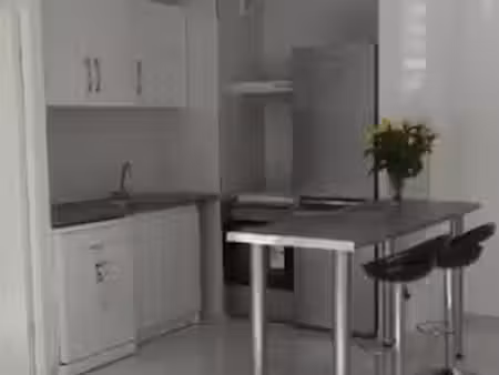 location appartement 2 pièces 45 m² à vitry-sur-seine (94400)  1 080 €