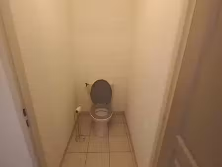 location appartement 2 pièces 40 m² à villerest (42300)
