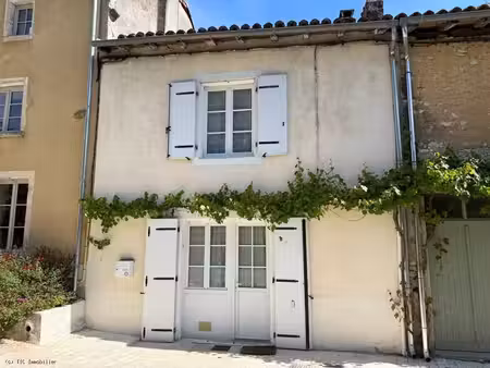 verteuil-sur-charente. belle maison du bourg avec vue