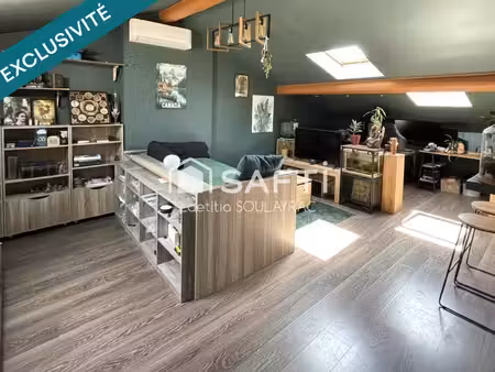 bel appartement en centre ville  avec cave et jardin.