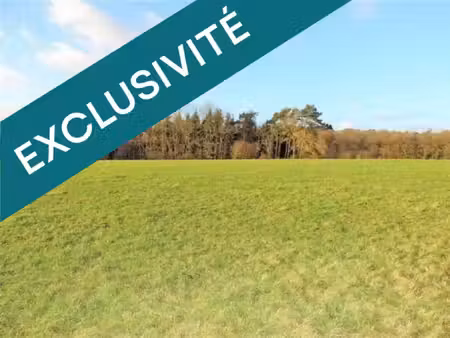 terrain constructible
