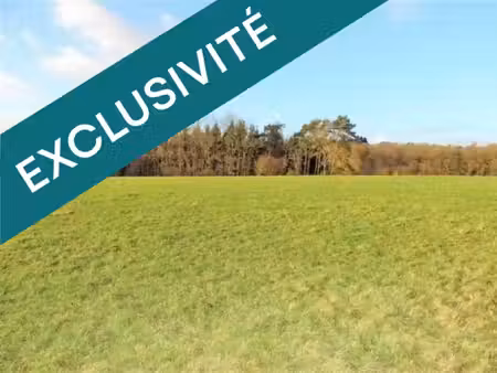 vente terrain 672 m² gémozac (17260)