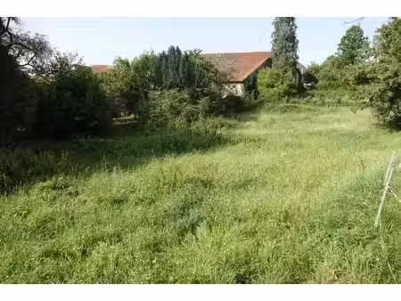 voreux benoit capifrance