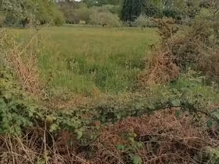 vente terrain à pontivy (56300) : à vendre / pontivy
