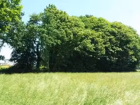 vente terrain à lamballe (22400) : à vendre / lamballe