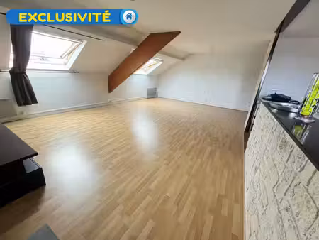 achat appartement 3 pièces 118m² chateauneuf sur loire 45110