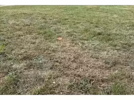 vente terrain 320 m² à les damps (27340)  47 000 €