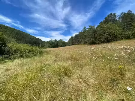 vente terrain 2100 m² à saint-andré-d'allas (24200)  40 000 €