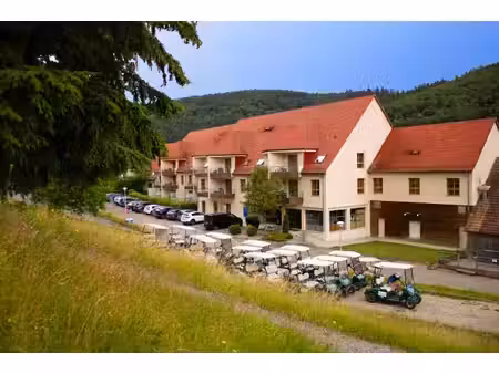 achat appartement 1 pièce 42m² ammerschwihr 68770