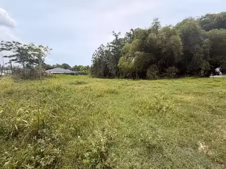 achat terrain 2 719m² petit bourg 97170