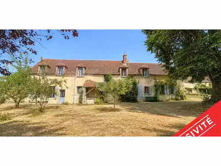 maison avec jardin laduz (89)