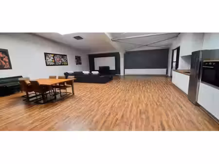 appartement loft spacieux 200 m2 hégenheim proche frontière suisse
