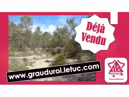 vente terrain 36000 m² vacquières (34270)