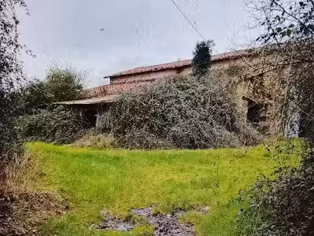 vente ferme 5 pièces 600 m² à saint-cyr-des-gâts (85410)  99 500 €
