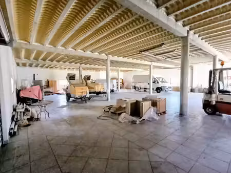 vente locaux professionnels 25 pièces 1060 m² à perpignan (66000)  1 460 000 €