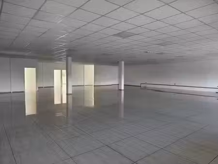 location locaux professionnels 4 pièces 380 m² à baie mahault (97122)  6 840 €