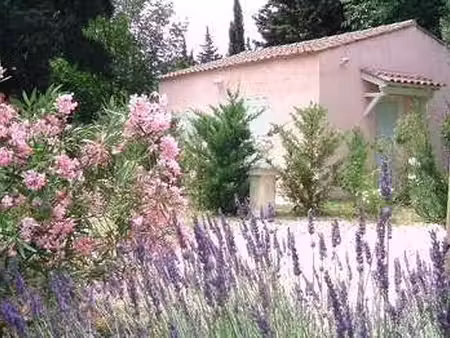 location maison à pélissanne (13330) : à louer / 70m² pélissanne