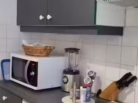 vente appartement 1 pièce 22 m² canet-en-roussillon (66140)