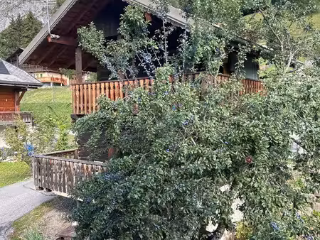 mazot indépendant location à l année