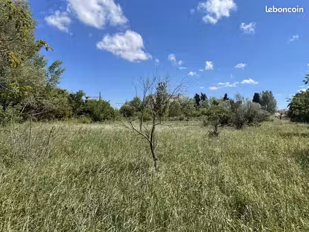 terrain à bâtir de 449 m² à senas (13)